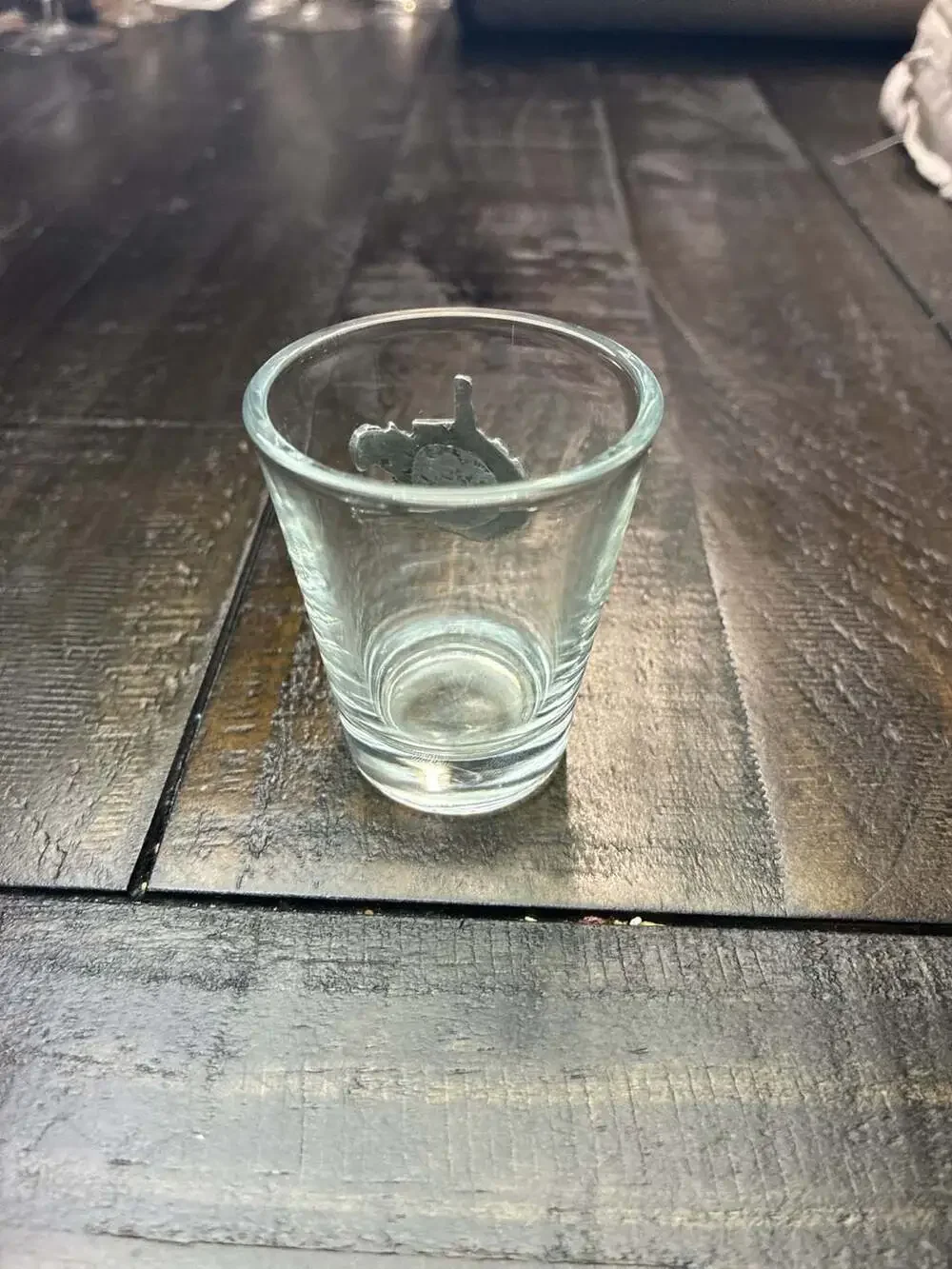 West Virginia State Souvenir Shot Glass with Pewter Mountain State Emblem